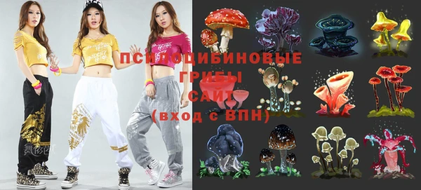 бошки Нязепетровск