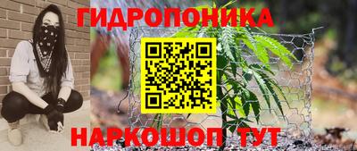 хмурый Ликино-Дулёво
