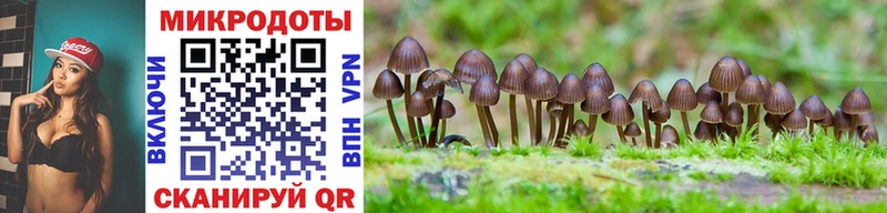 Псилоцибиновые грибы Magic Shrooms  Ярцево 