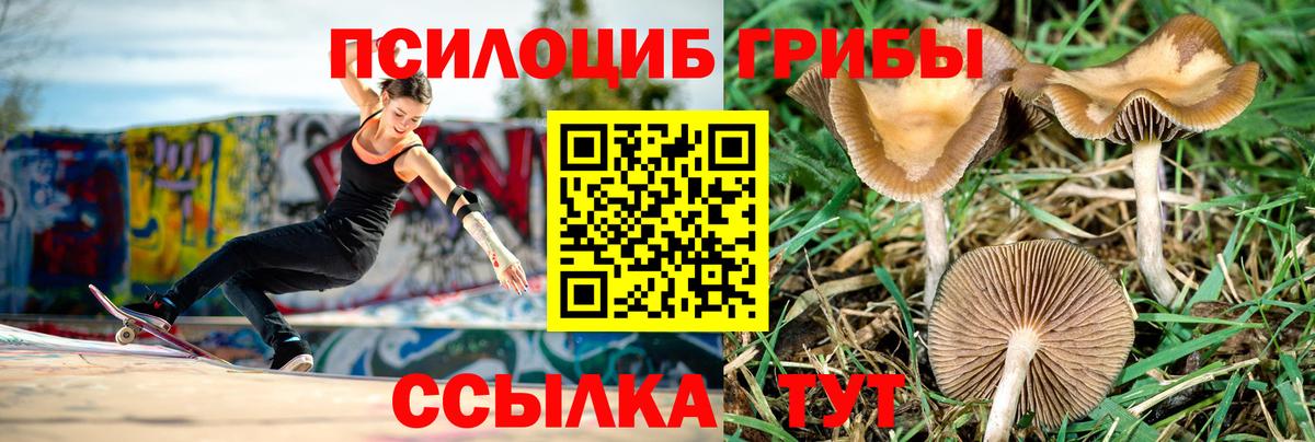 Бошки Шишки  Альфа ПВП  25-NBOMe  Ярцево  Масло THC  Меф  Гашиш  COCAIN  Плюхи  Вход с VPN 
