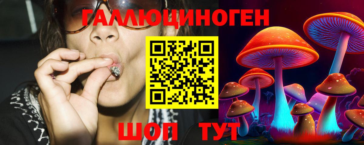 продажа наркотиков  Псилоцибиновые грибы прущие грибы  Вход с VPN  Ярцево 