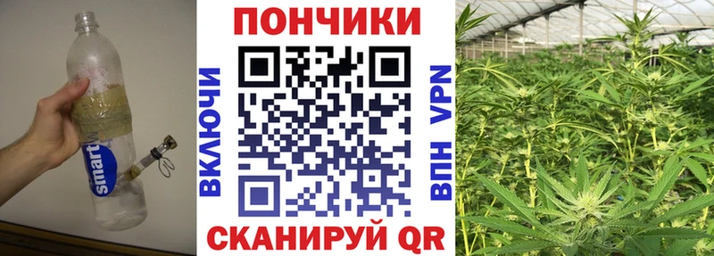 Каннабис ГИДРОПОН  Ярцево 
